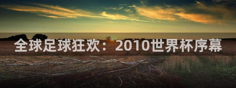 世界杯预选赛2026：全球足球狂欢：2010世界杯序幕