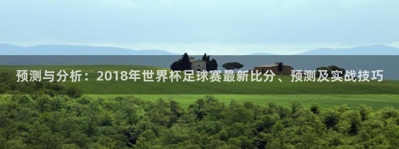今年的世界杯：预测与分析：2018年世界杯足球赛最新比分、预测及实战技巧