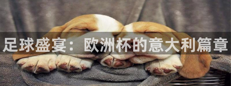 26世界杯：足球盛宴：欧洲杯的意大利篇章