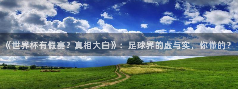 2026世界杯亚洲预选赛：《世界杯有假赛？真相大白》：足球界的虚与实，你懂的？