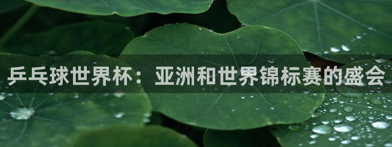 世界杯决赛圈球队：乒乓球世界杯：亚洲和世界锦标赛的盛会