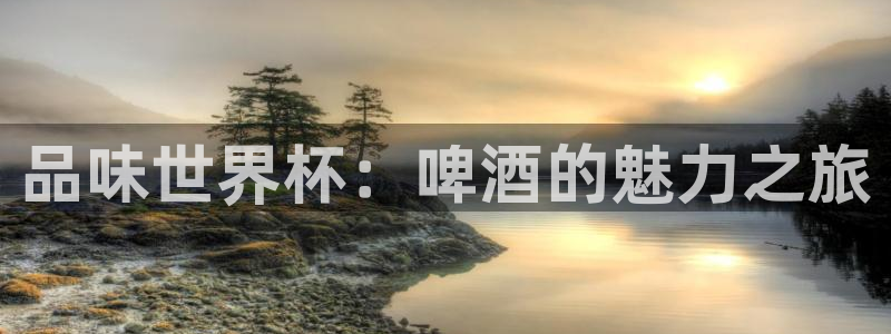 男足世界杯预选赛赛程：品味世界杯：啤酒的魅力之旅