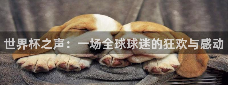 亚洲杯比赛直播：世界杯之声：一场全球球迷的狂欢与感动