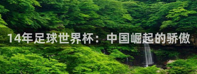 2026年男足世界杯：14年足球世界杯：中国崛起的骄傲