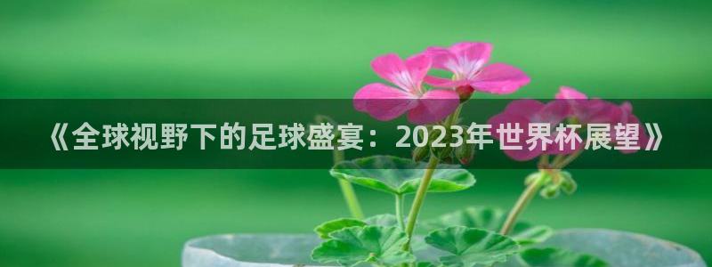 西超杯直播：《全球视野下的足球盛宴：2023年世界杯展望》