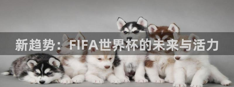 2026世界杯赛制：新趋势：FIFA世界杯的未来与活力