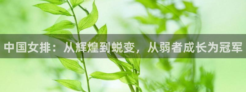 2026世亚预赛赛程表：中国女排：从辉煌到蜕变，从弱者成长为冠军