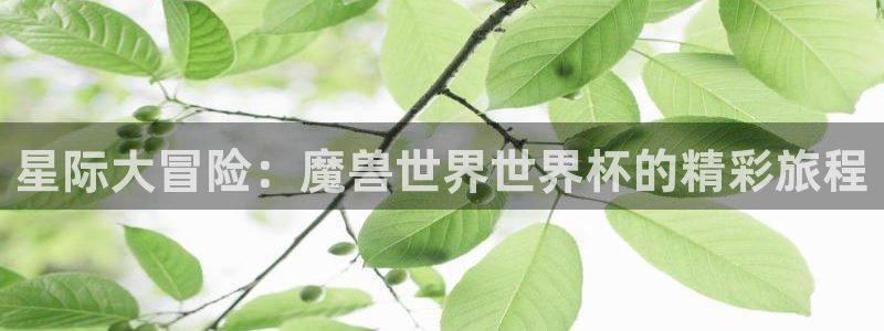 世界杯预选赛亚洲：星际大冒险：魔兽世界世界杯的精彩旅程