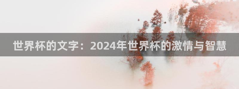 西超杯直播：世界杯的文字：2024年世界杯的激情与智慧