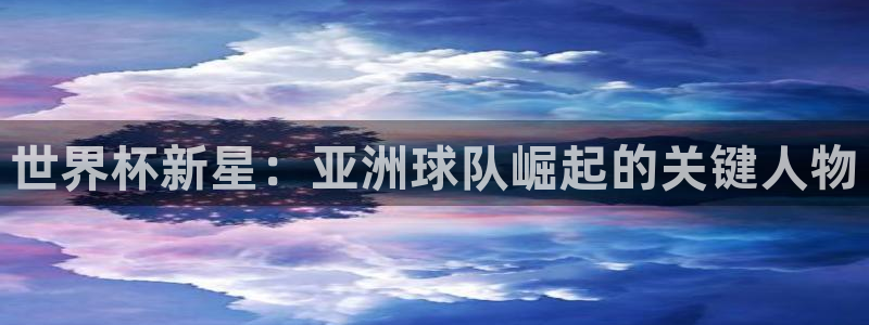 世界杯2026赛制：世界杯新星：亚洲球队崛起的关键人物