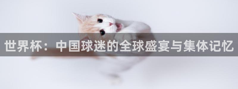 世界杯预赛赛程：世界杯：中国球迷的全球盛宴与集体记忆