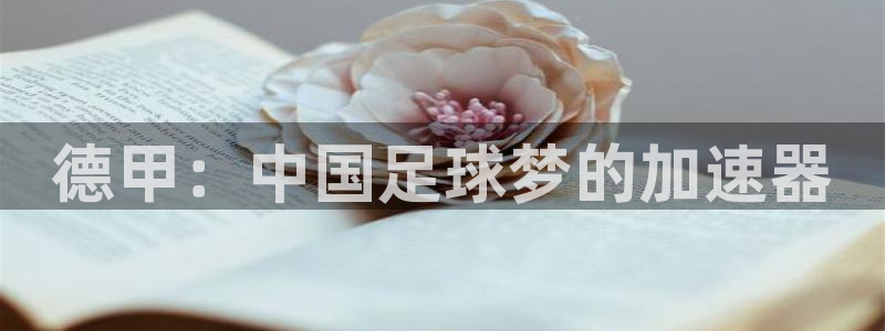 世界杯：德甲：中国足球梦的加速器