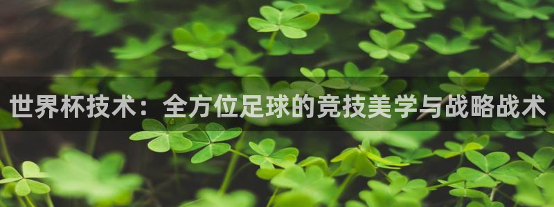 世界杯第一场比赛：世界杯技术：全方位足球的竞技美学与战略战术